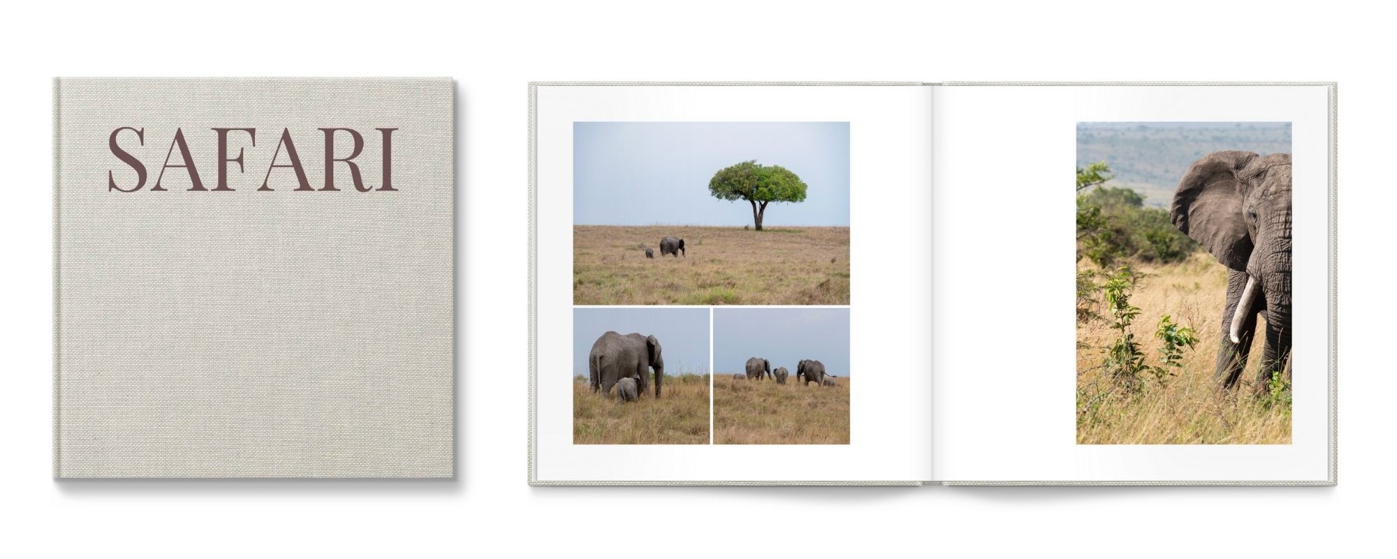 Safari book with elephants