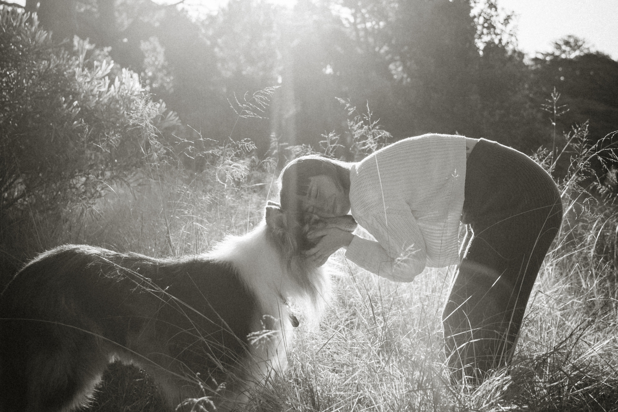 Woman caressing Australian shepherd dog's head, smiling.