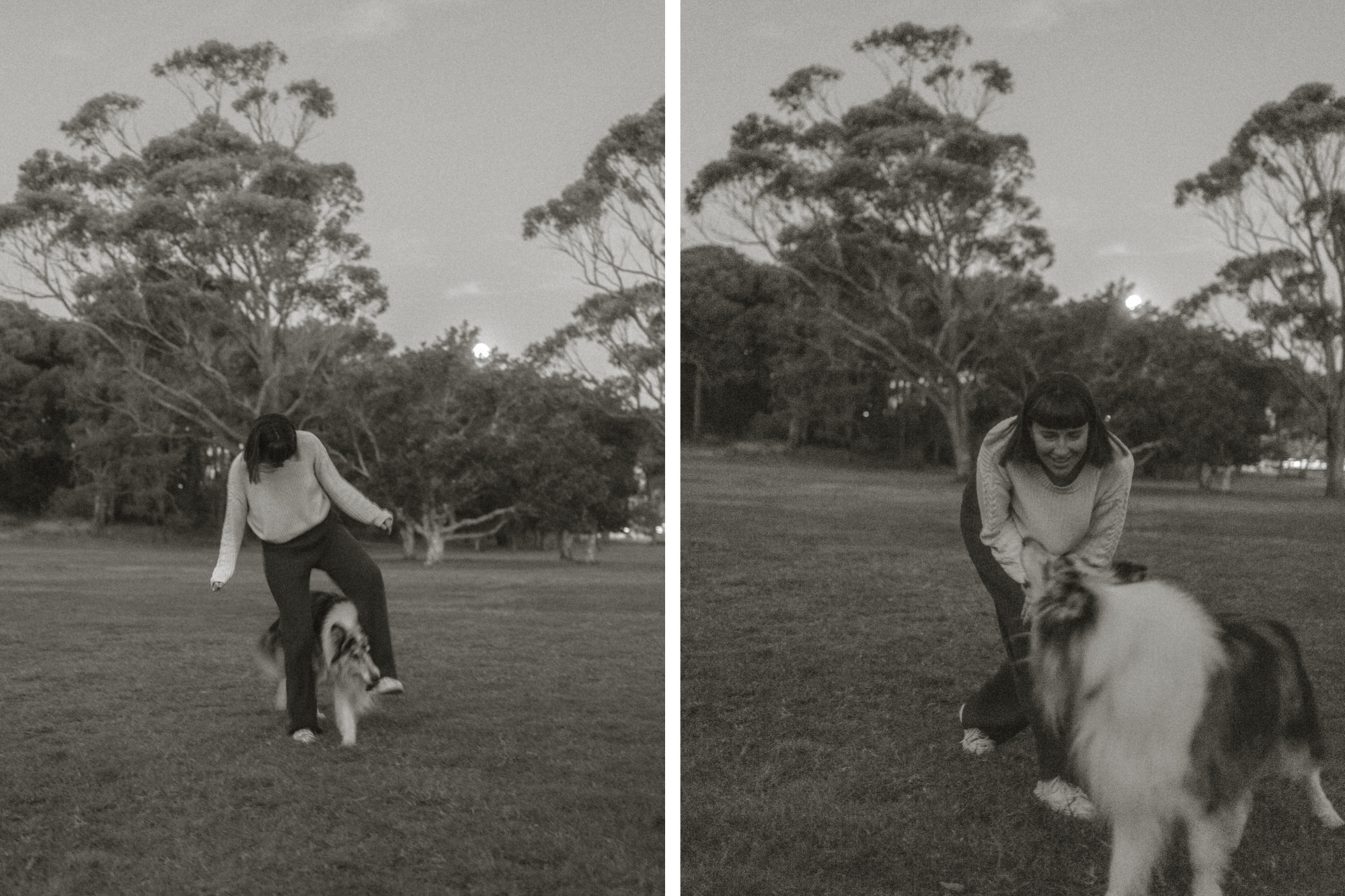 Woman plays and steps over Australian shepherd dog in a park.