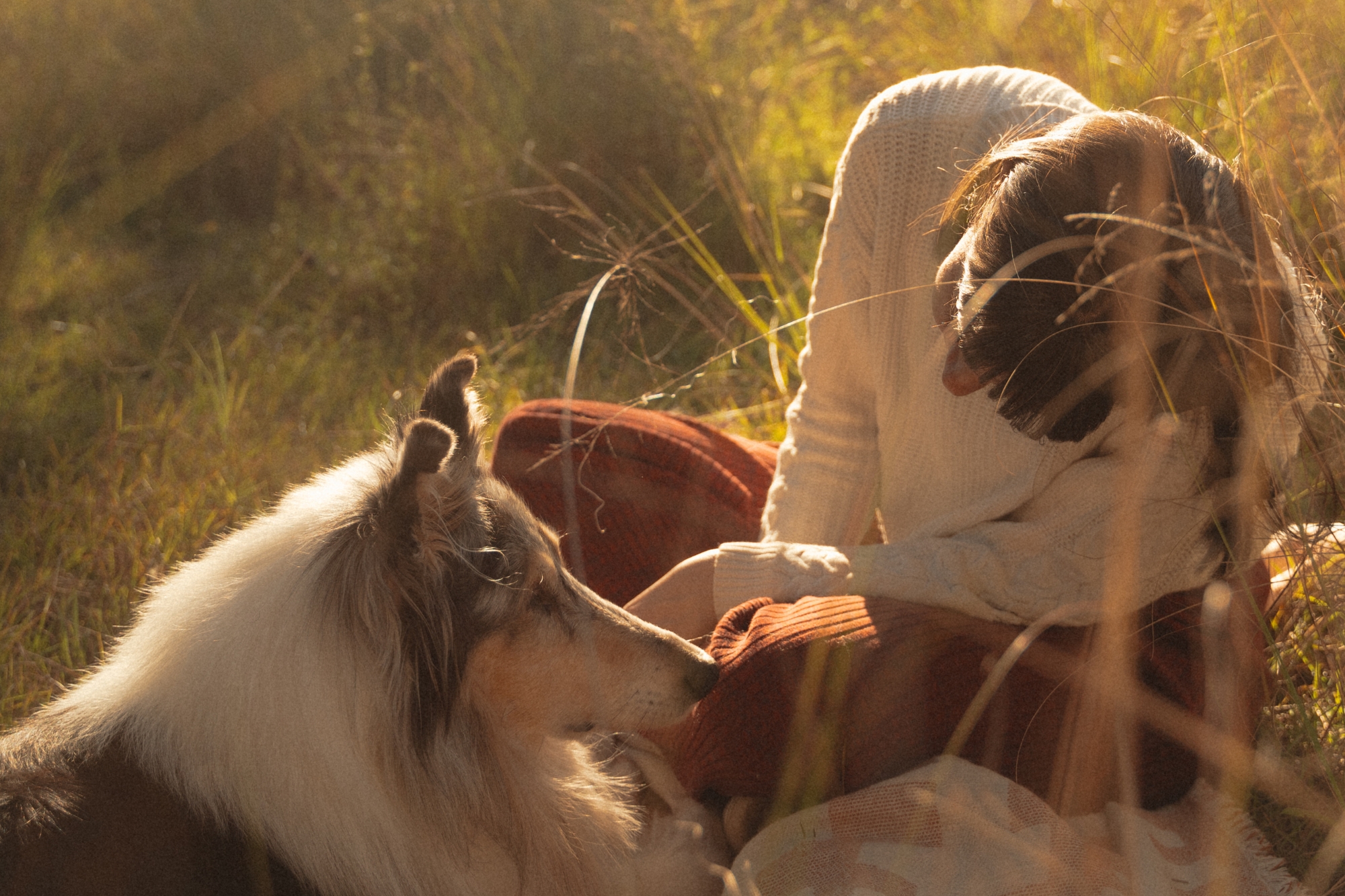 Woman looks at her Australian shepherd dog while sitting on picnic blanket.
