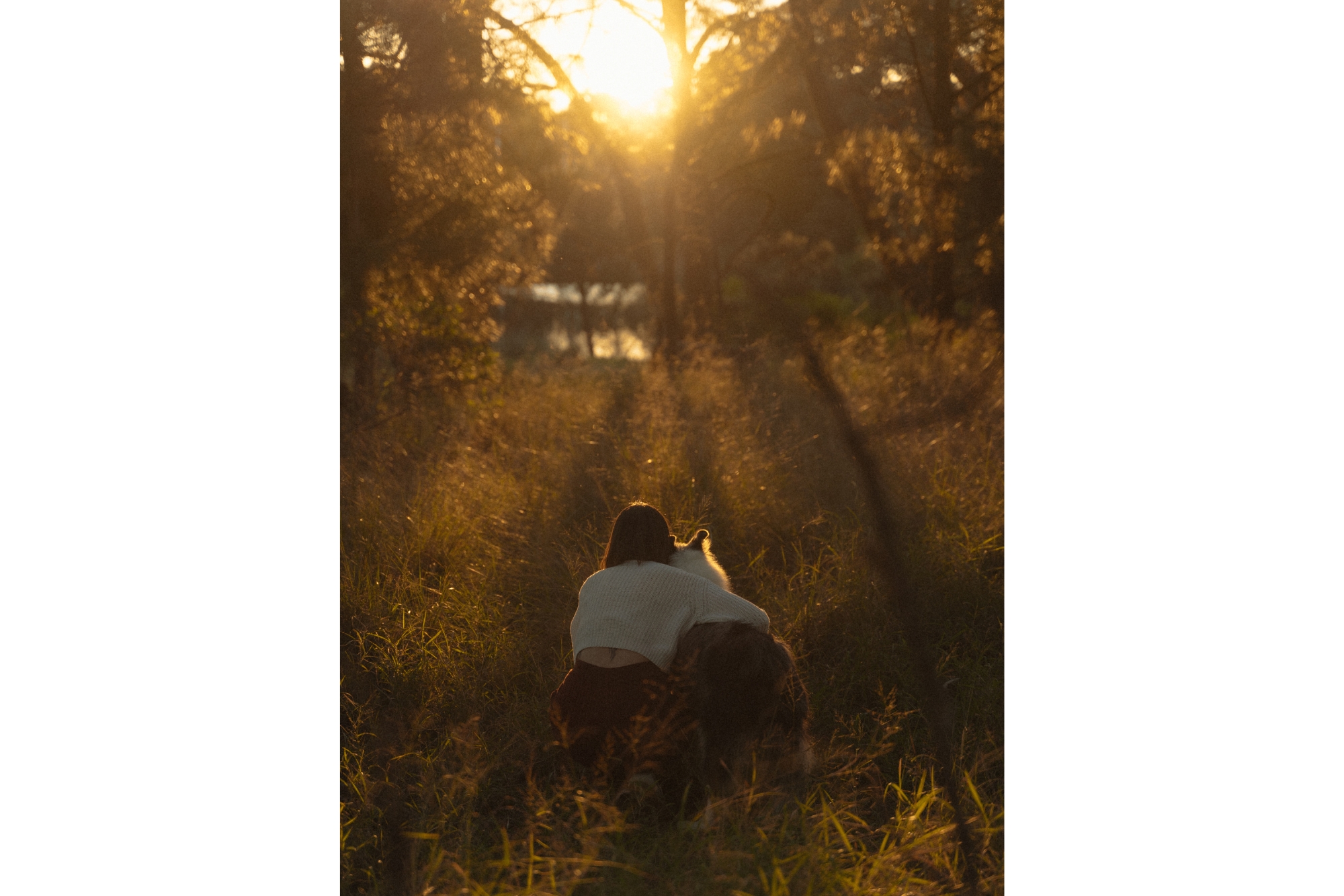 Woman hugging Australian shepherd dog while seated in the grass looking at sunset.